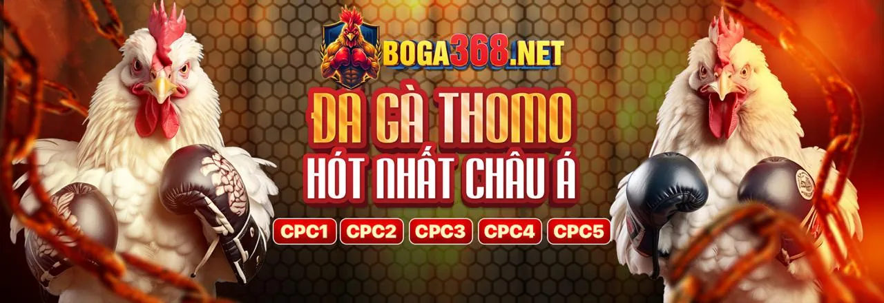 Đá gà trực tuyến Betvisa Login